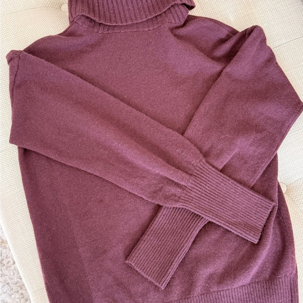 Madewell Rich Burgundy Turtleneck Sweater